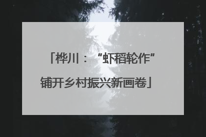 桦川：“虾稻轮作”铺开乡村振兴新画卷